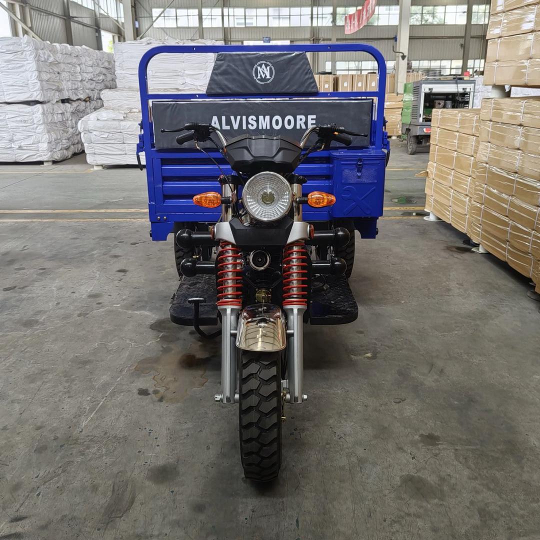 Blue Cargo Trike